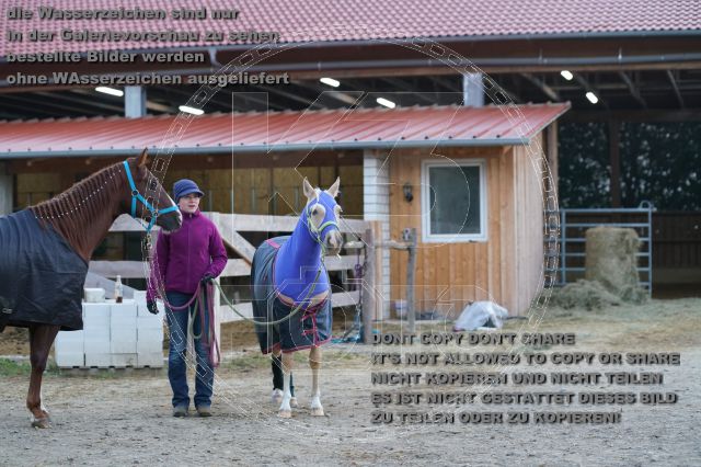s_K3F07634.JPG